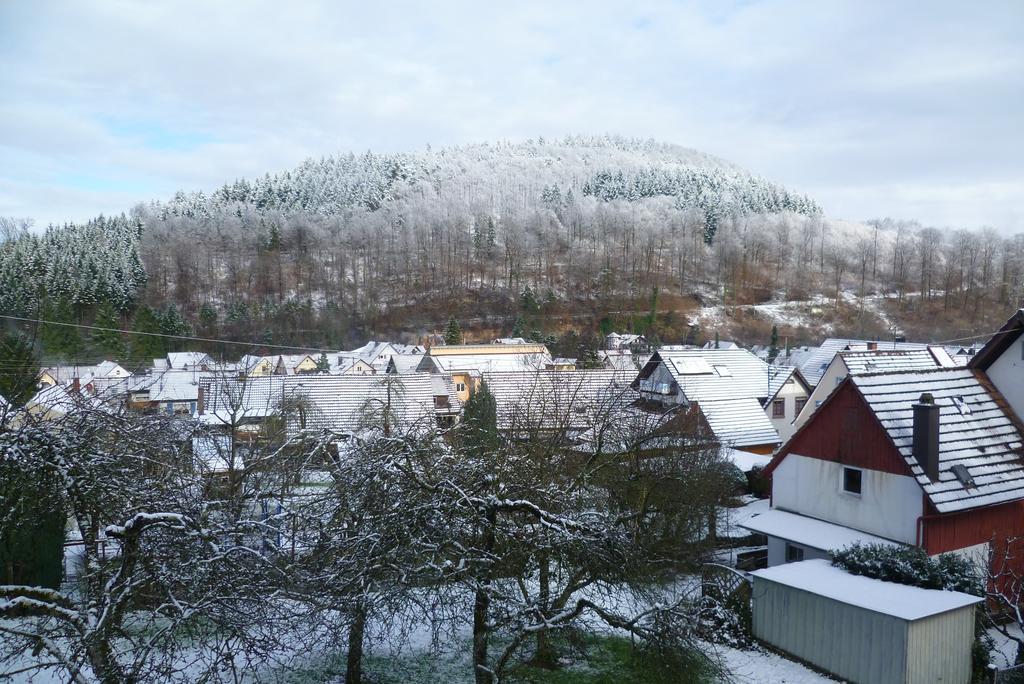 Schwarzwald Domizil Uhlsberg Apartment Кипенхайм Екстериор снимка