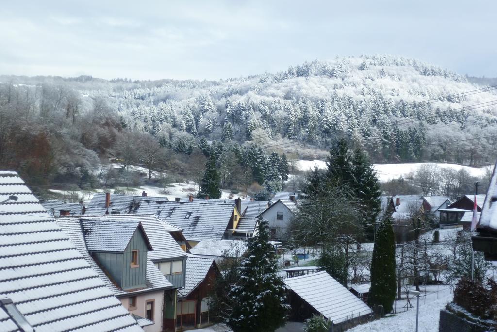 Schwarzwald Domizil Uhlsberg Apartment Кипенхайм Стая снимка