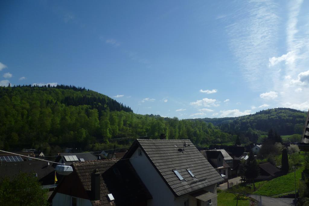 Schwarzwald Domizil Uhlsberg Apartment Кипенхайм Стая снимка