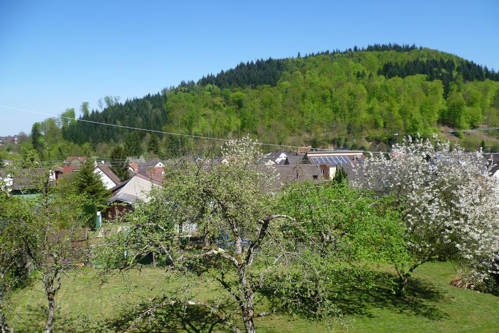 Schwarzwald Domizil Uhlsberg Apartment Кипенхайм Стая снимка
