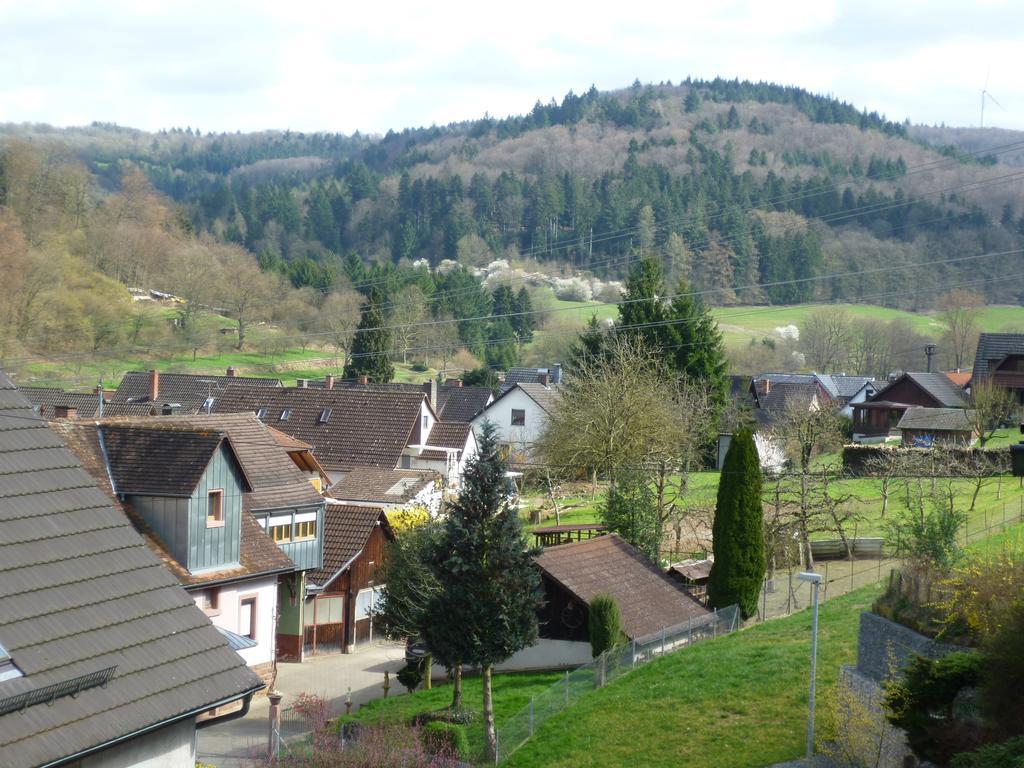 Schwarzwald Domizil Uhlsberg Apartment Кипенхайм Стая снимка