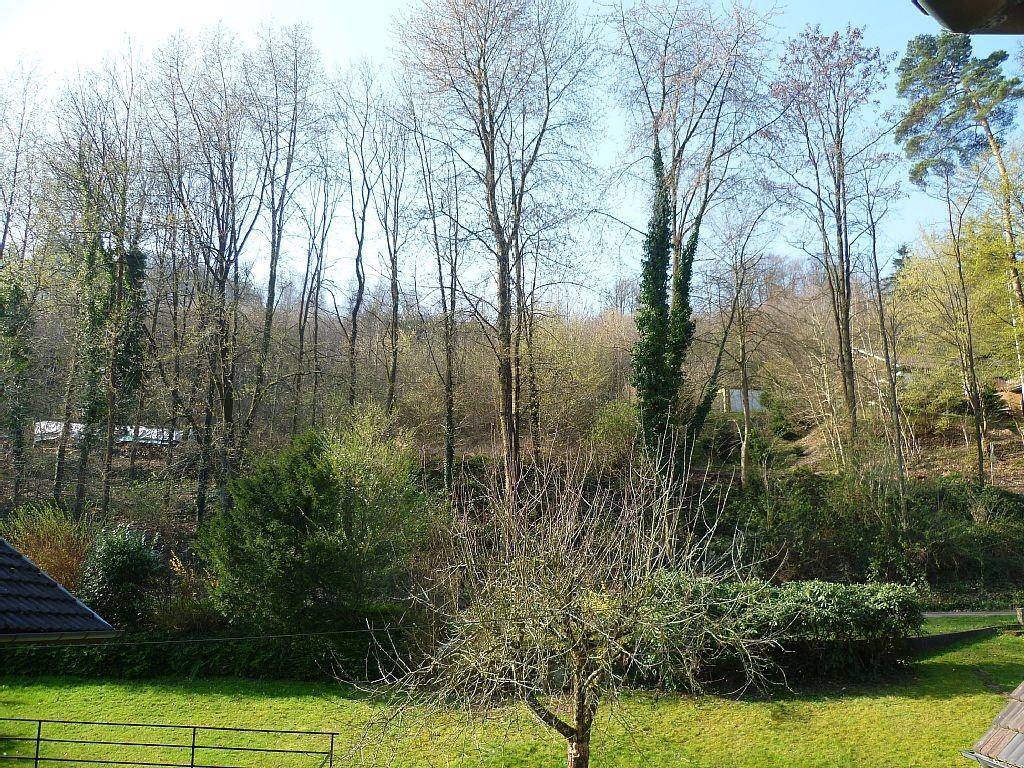 Schwarzwald Domizil Uhlsberg Apartment Кипенхайм Екстериор снимка