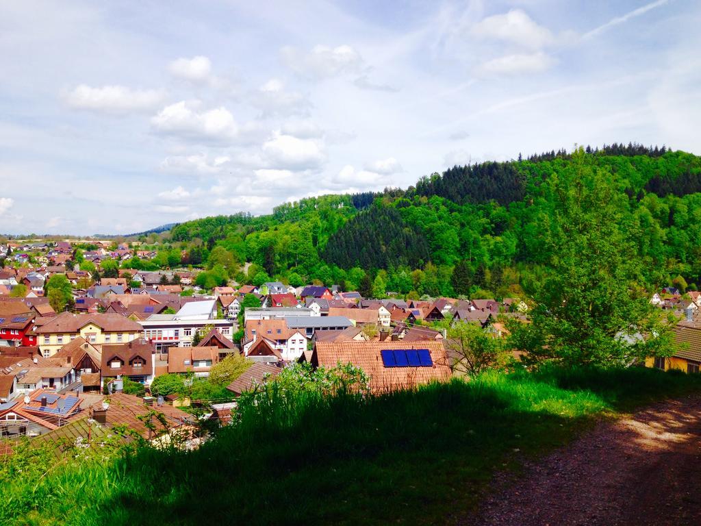 Schwarzwald Domizil Uhlsberg Apartment Кипенхайм Екстериор снимка