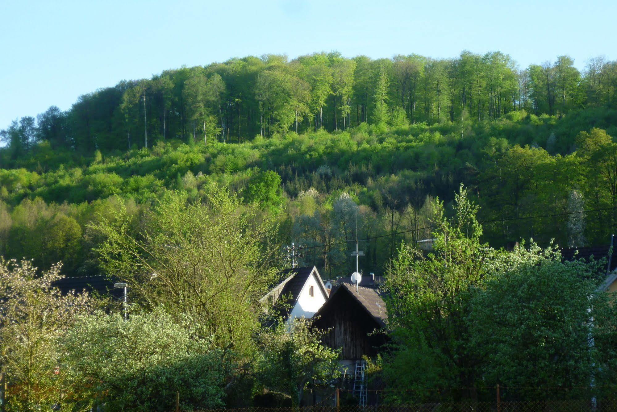 Schwarzwald Domizil Uhlsberg Apartment Кипенхайм Екстериор снимка